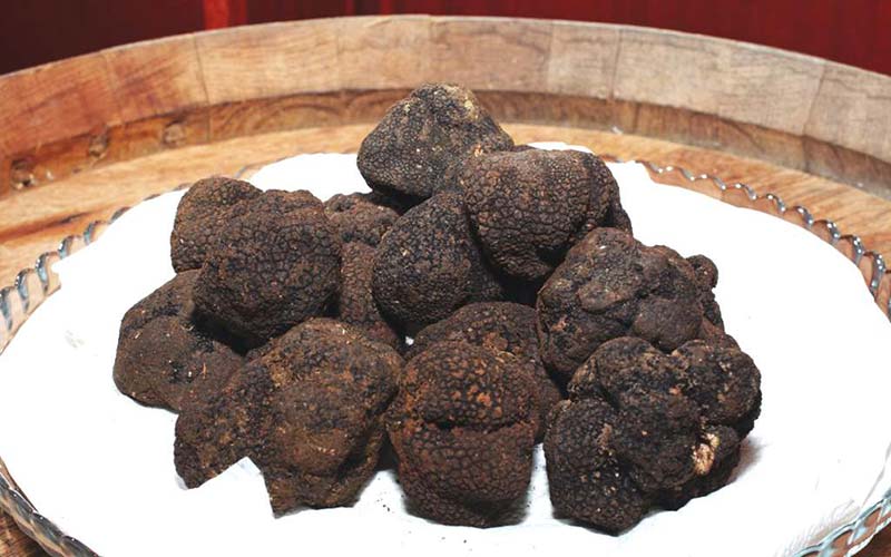 tartufo-mgm-milano