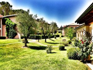 Montebelli
