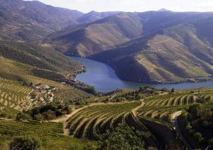 douro-valley-panorama-trekking