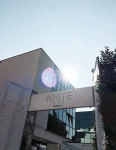 whitetortona2