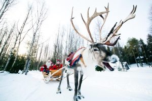 santa_reindeer_citare-copyright-visitfinland