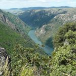 mieza-riodueroarribes2jpg070710_162535