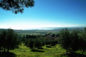 Antico-Casale-di-Montegualandro-e-Spa