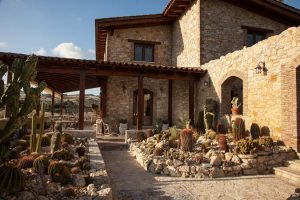 Garden-Cactus-B&B