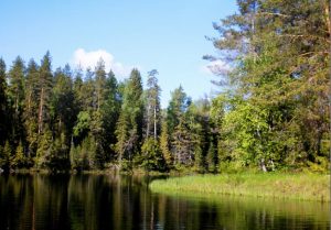 karelia