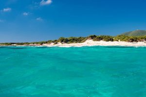Aquadulci-Mare-1-1024x682