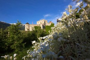 Castelbello2app