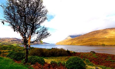 Un assaggio d' Irlanda in autunno