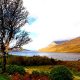 Un assaggio d' Irlanda in autunno